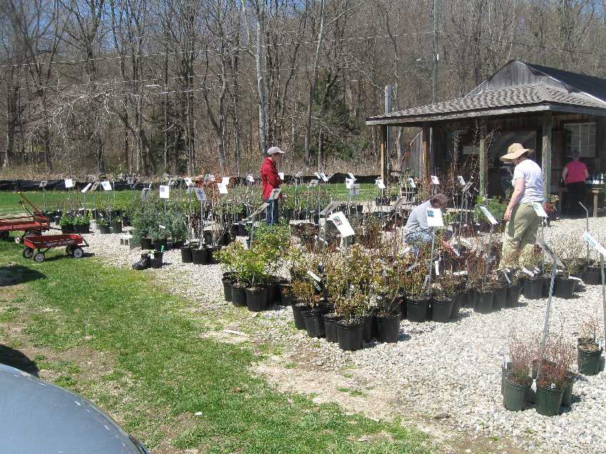 nasami-4-25 Nasami Farm in Whately