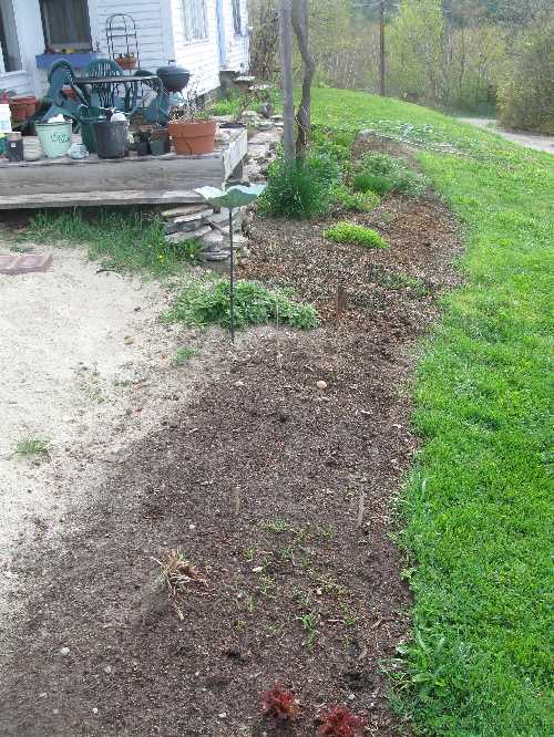 herb-bed-5-4 Straight lines are not my forte