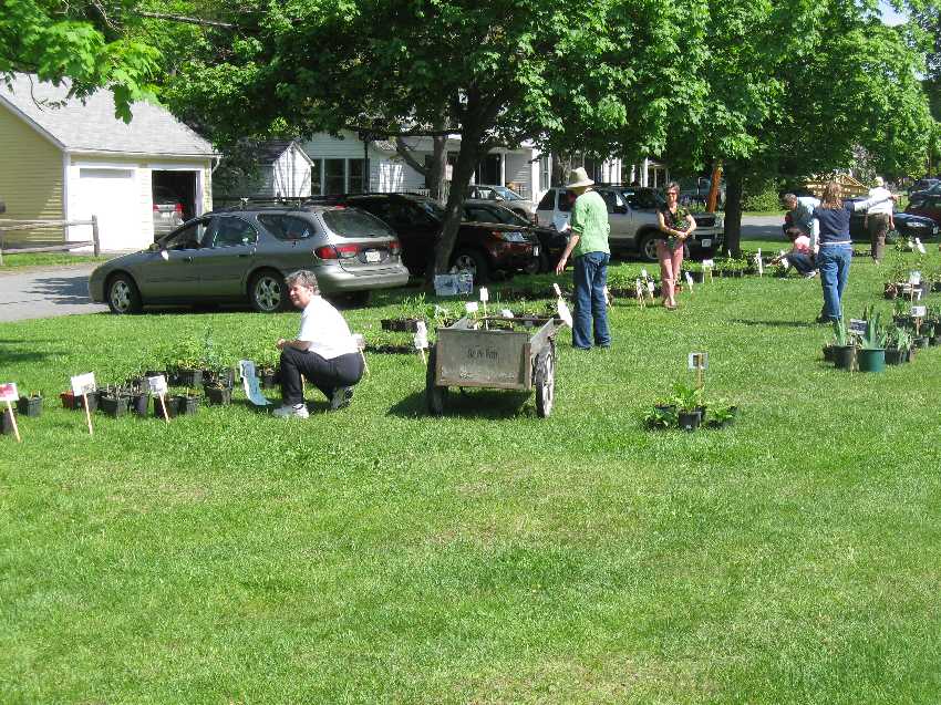 sfawc-plant-sale1