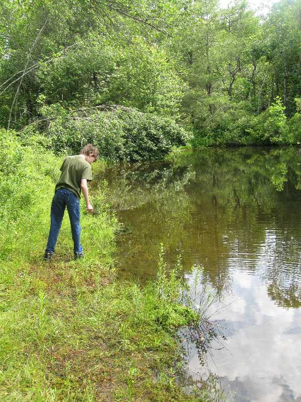 ty-at-pond