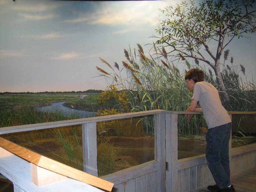 ty-discovery-center
