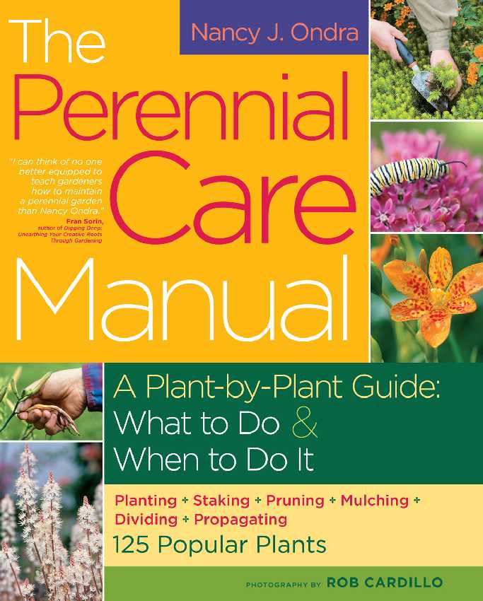 perennialcare2
