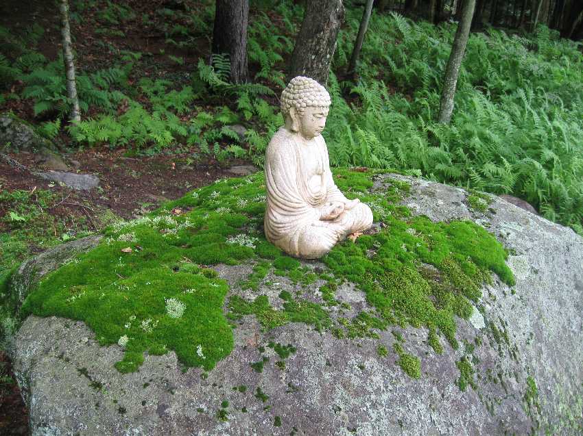 tc-buddha-stone