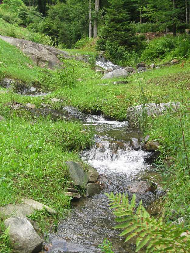 tc-stream