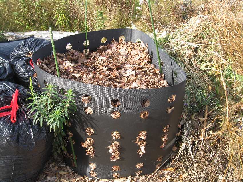 composting leaves