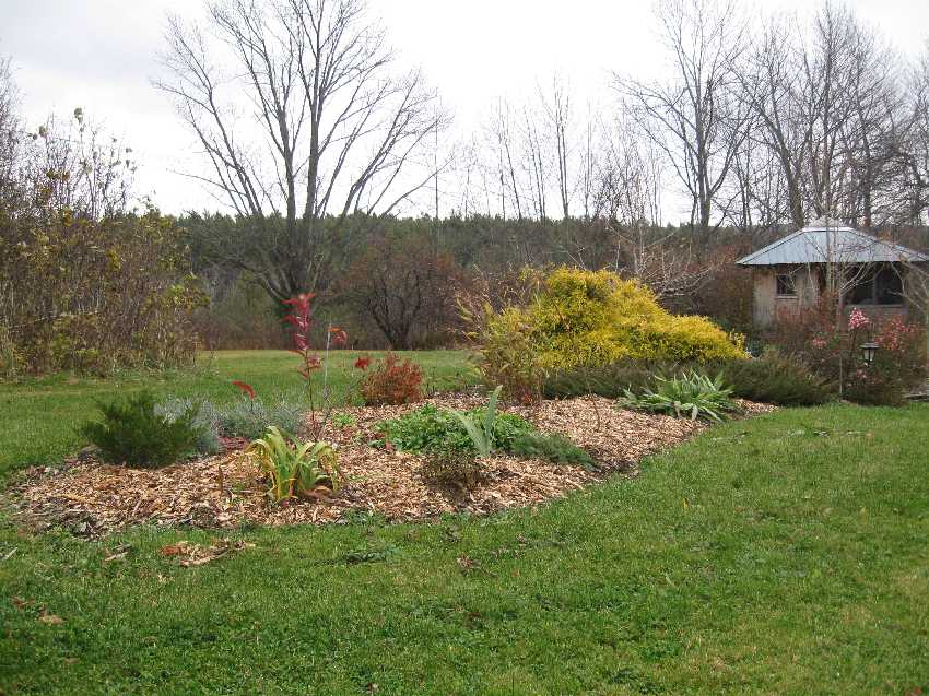 november-garden The Lawn Bed November 1