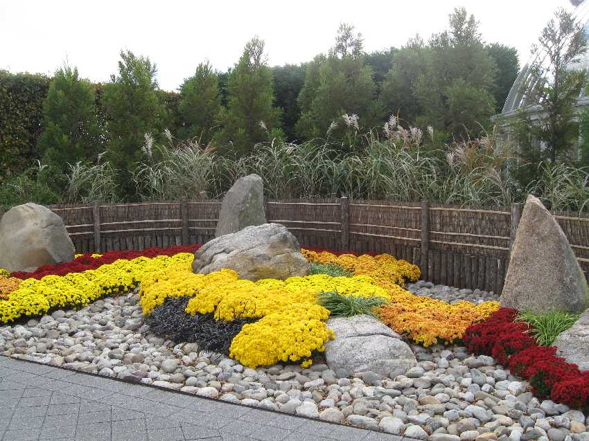 nybg-mtn-scene-autumn