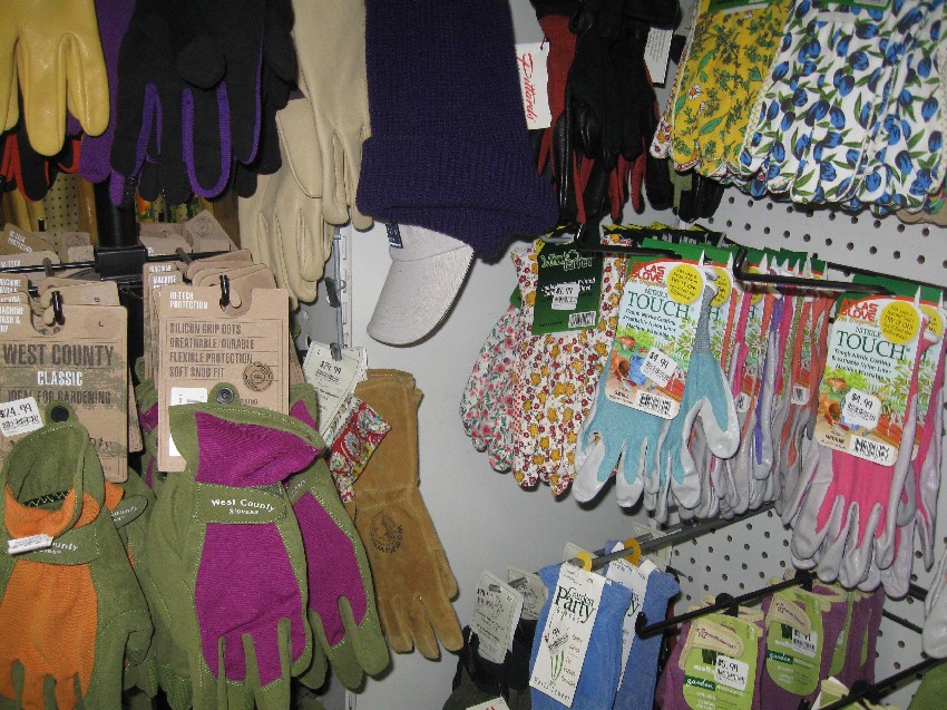 gloves