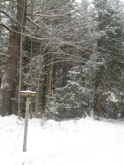snowy knott rd 1-2