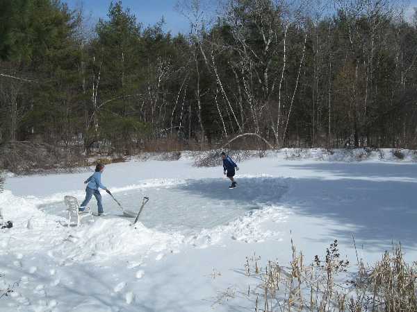 frog pond in winter 2-22