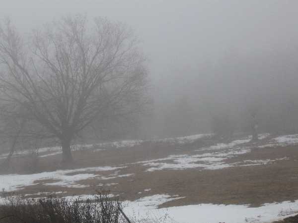 April mist