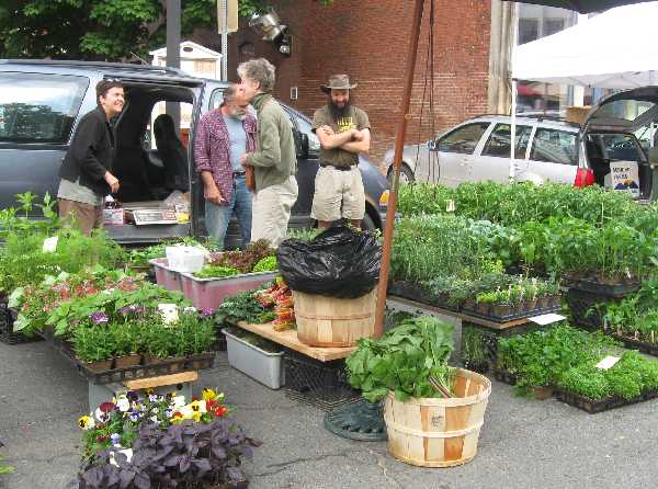 farmers mkt 5-29