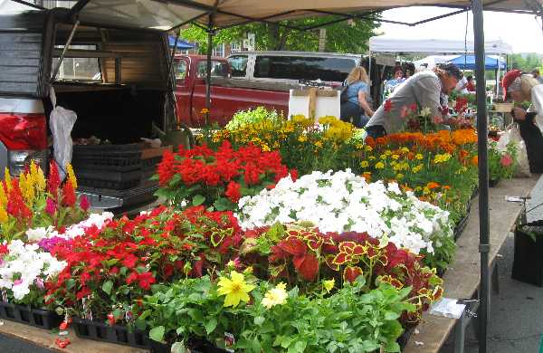 farmers mkt2 5-29