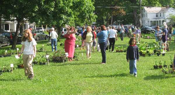 plant sale crowd