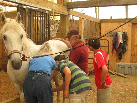 boys & horse 7-28