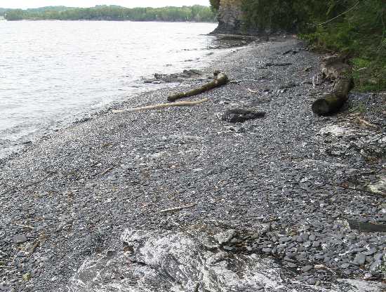 Champlain shore 7-19