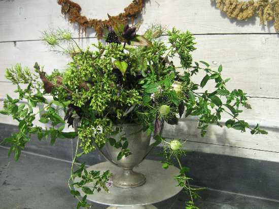 glorias green arjmt