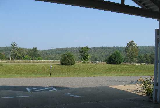 school meadow