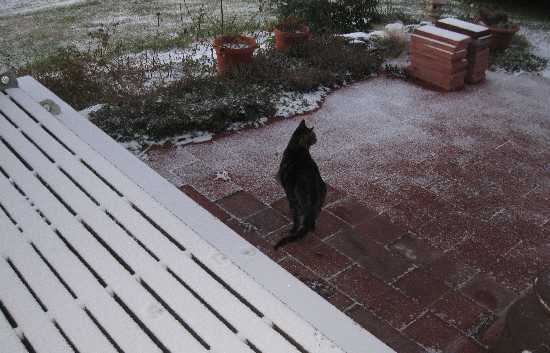 First snow 10-22