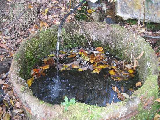 whittemore spring