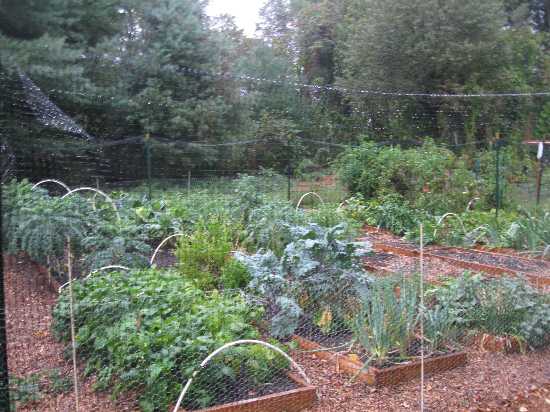 Elise veg Sept.