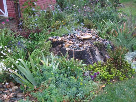 Elise's perennials