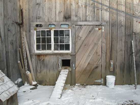 henhouse doug 12-16