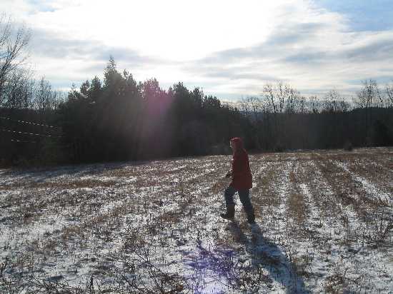 p. in field