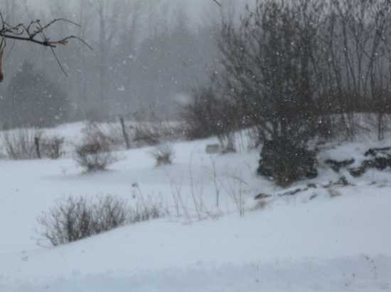 snow 12-27