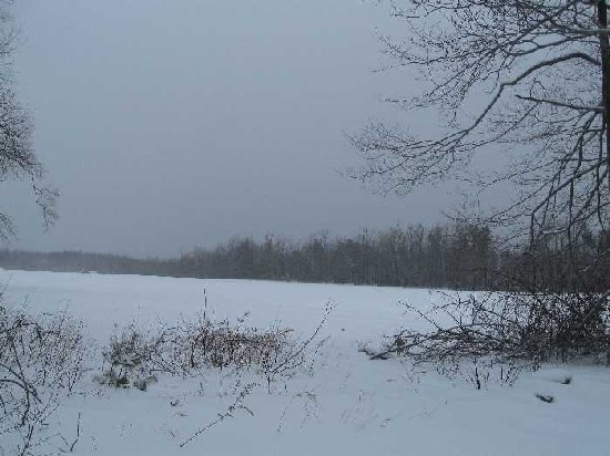 snowy mowing 1-2