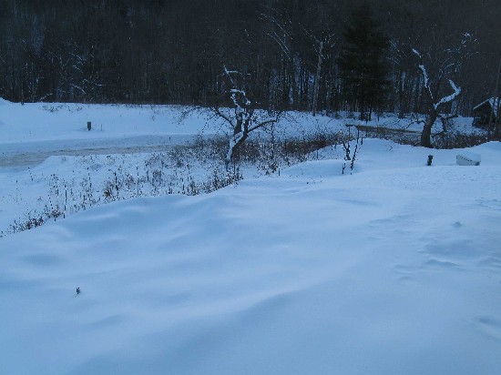 Turkle landscape 1-13