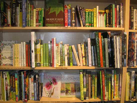 bookstore shelves