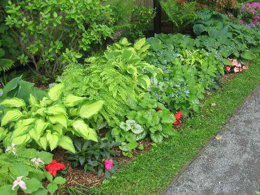 entry greens