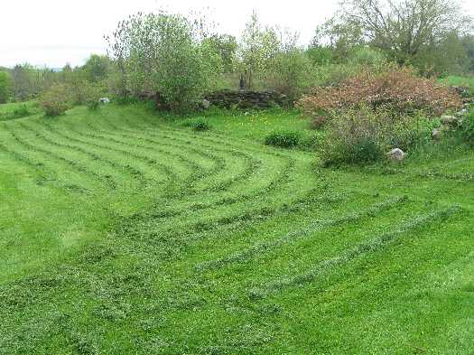 lawn mowed 5-22