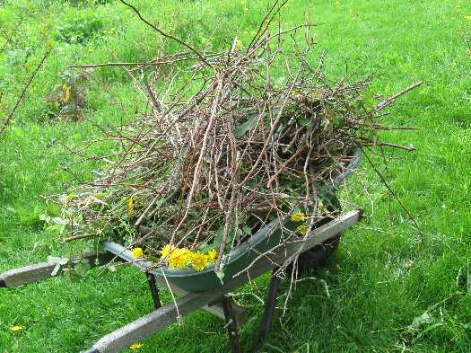 prunings, weedings