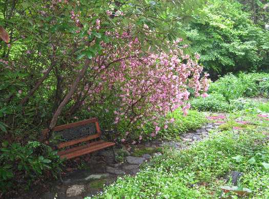 seat in the garden 2