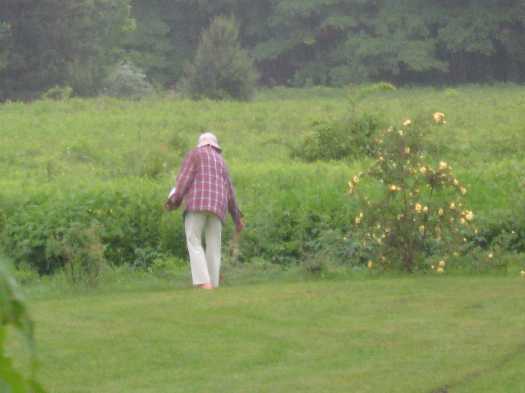 me in the rain 6-11