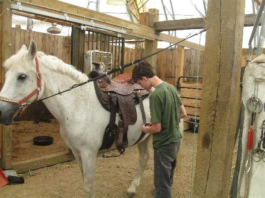 ty riding 1