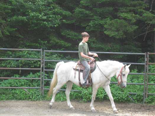 ty riding 2