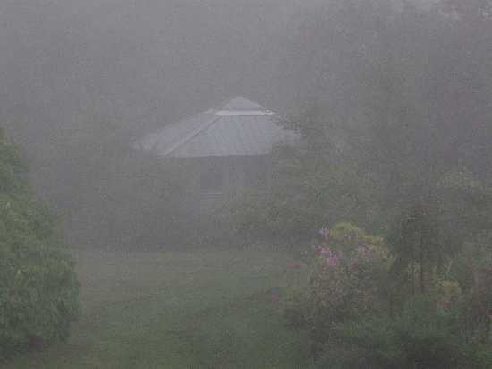 misty cottage