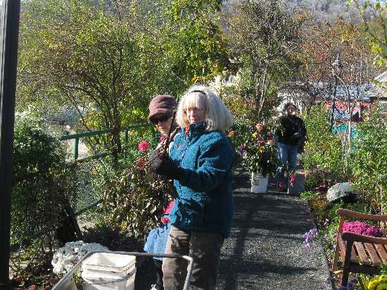 flower brigade 10-28
