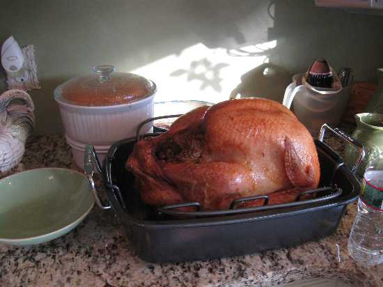 turkey roasted