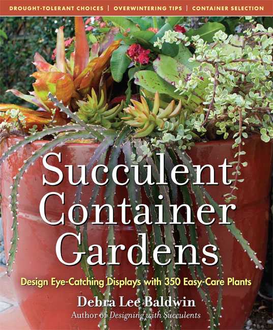 succulent container gdns