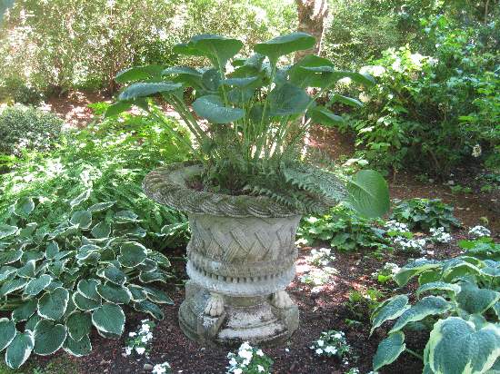 7-22 planted large urn