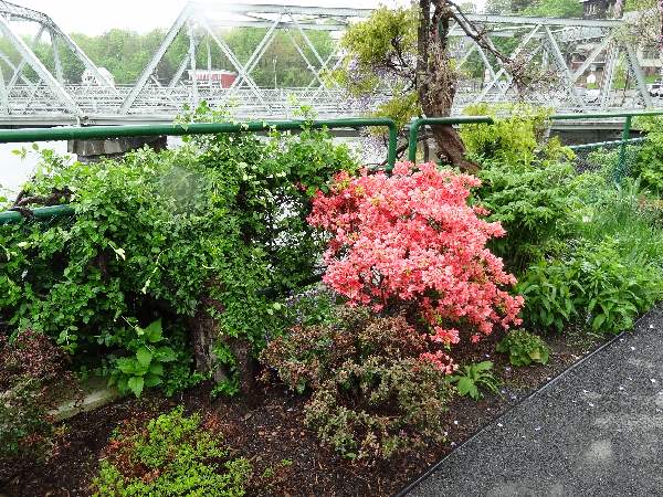 5-8 two bridge view