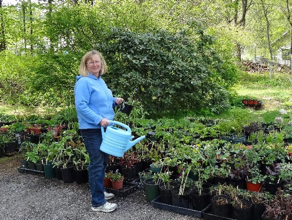 Lynda Leitner & plants