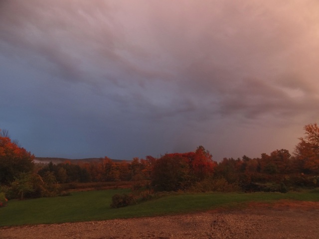 fall view 10-5