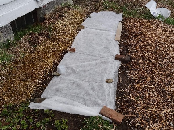 front bed covered