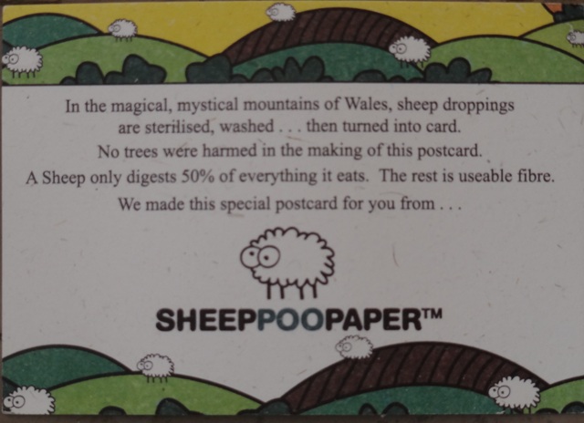 sheepoopaper