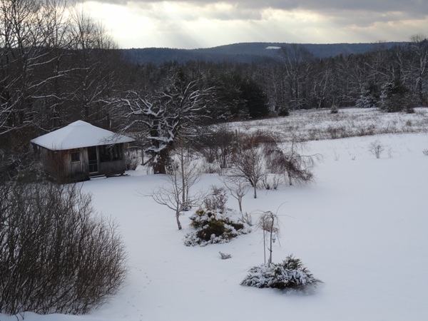 view from bedroom 1-17